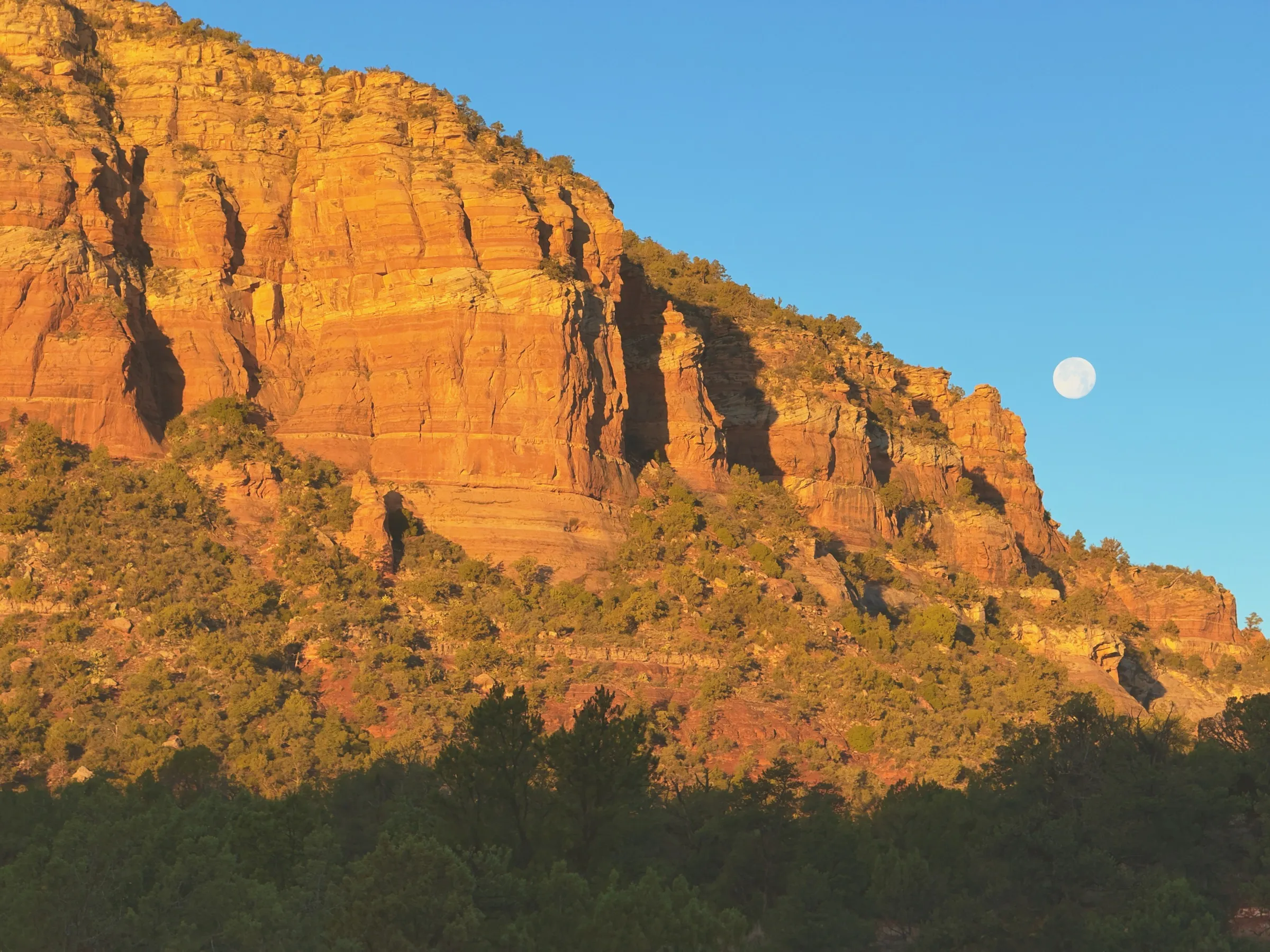 The moon rising over glowing red cliffs in Sedona
