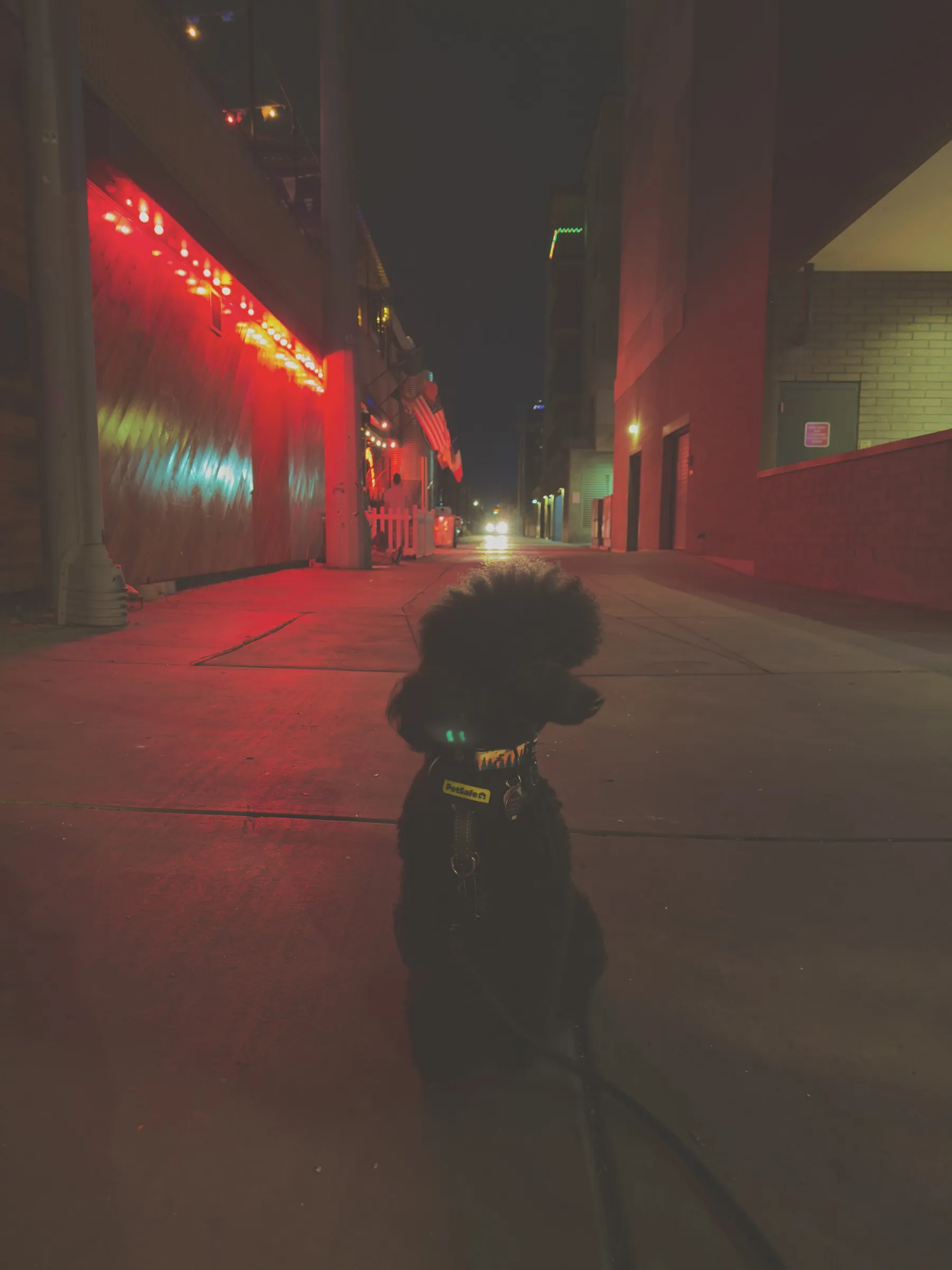 Vader on a city sidewalk at night, lit by red neon