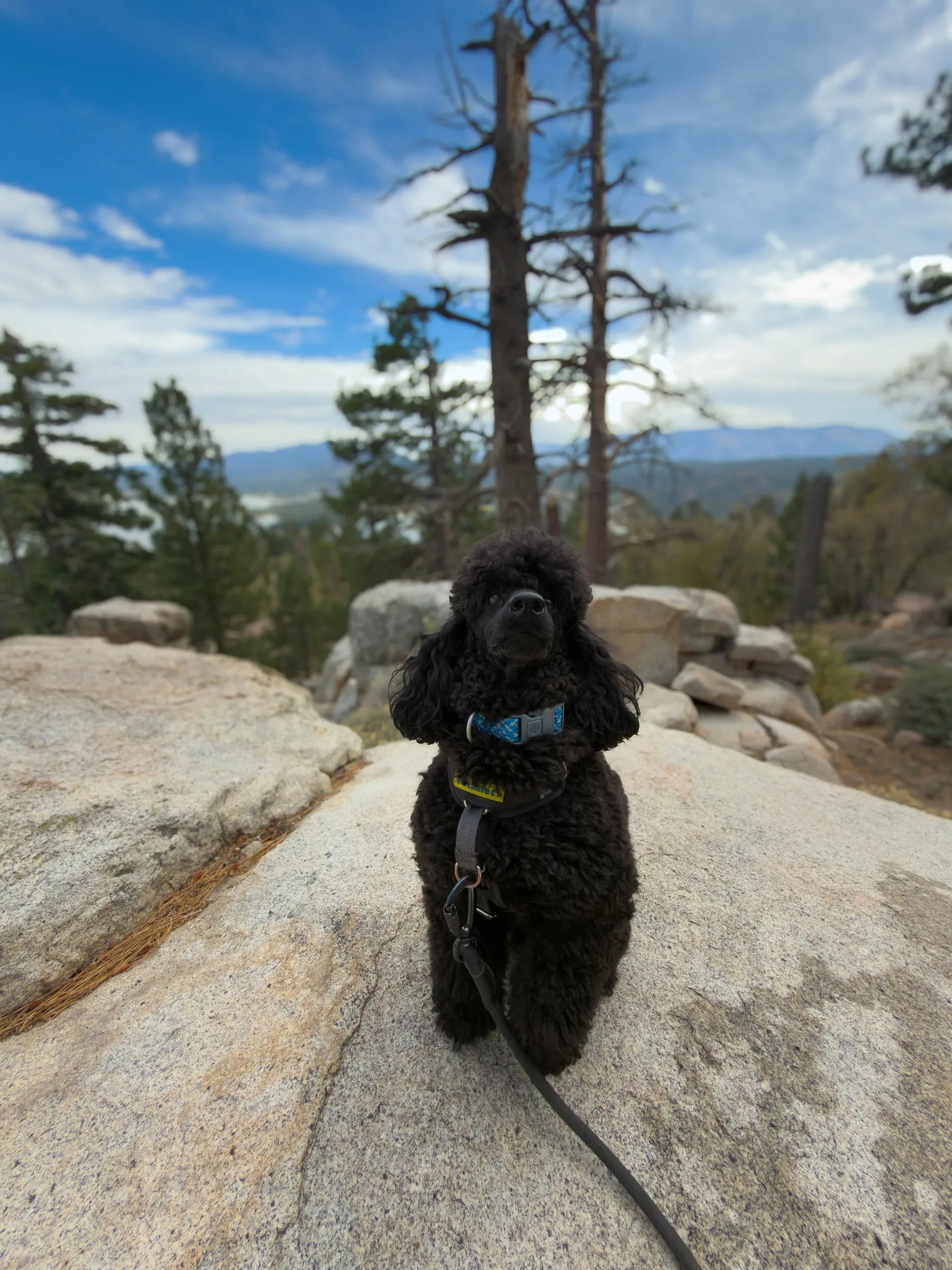 Vader sitting on a granite slab with the lake and mountains behind him