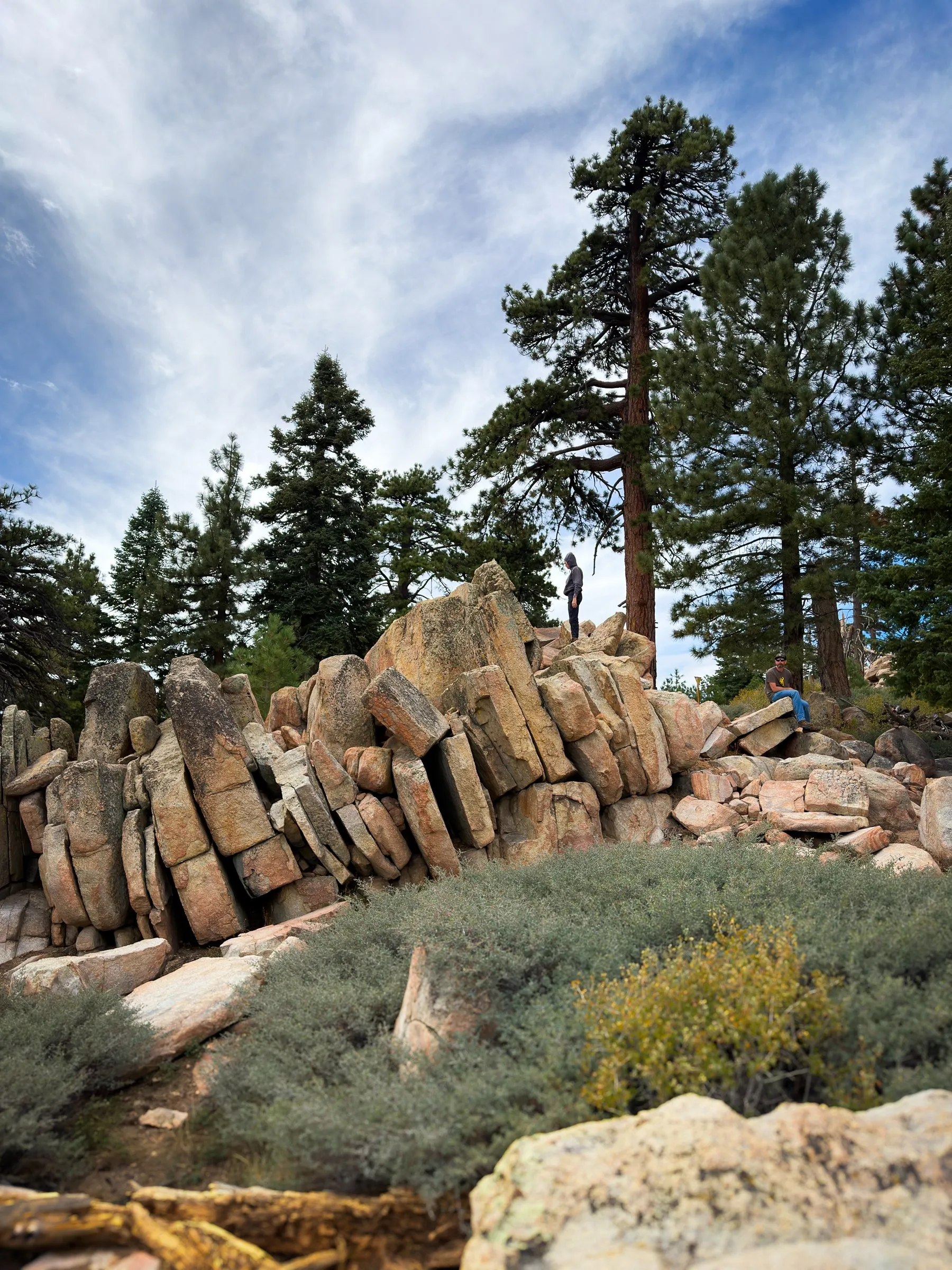 Long granite slabs leaning together in rows below tall pines